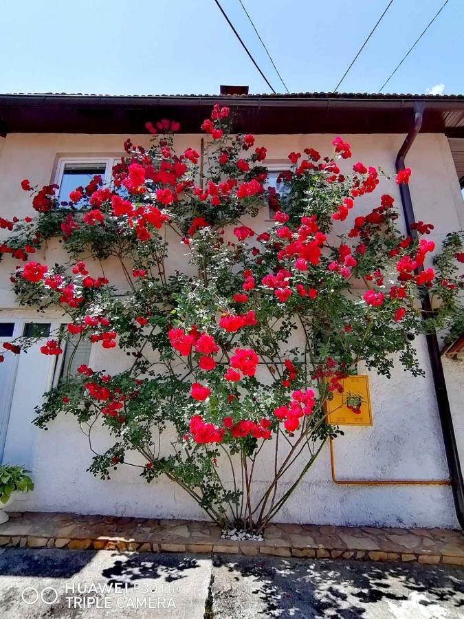 Modern&Cozy Bosnian House With Garden+Free Parking Hotel Сараево Екстериор снимка