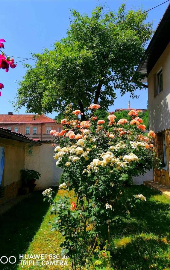 Modern&Cozy Bosnian House With Garden+Free Parking Hotel Сараево Екстериор снимка