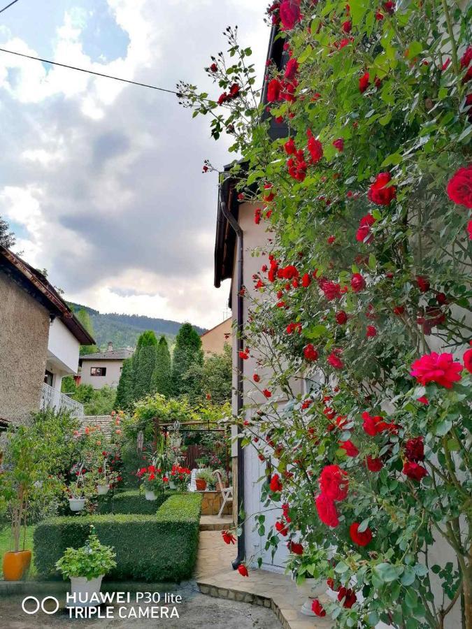 Modern&Cozy Bosnian House With Garden+Free Parking Hotel Сараево Екстериор снимка