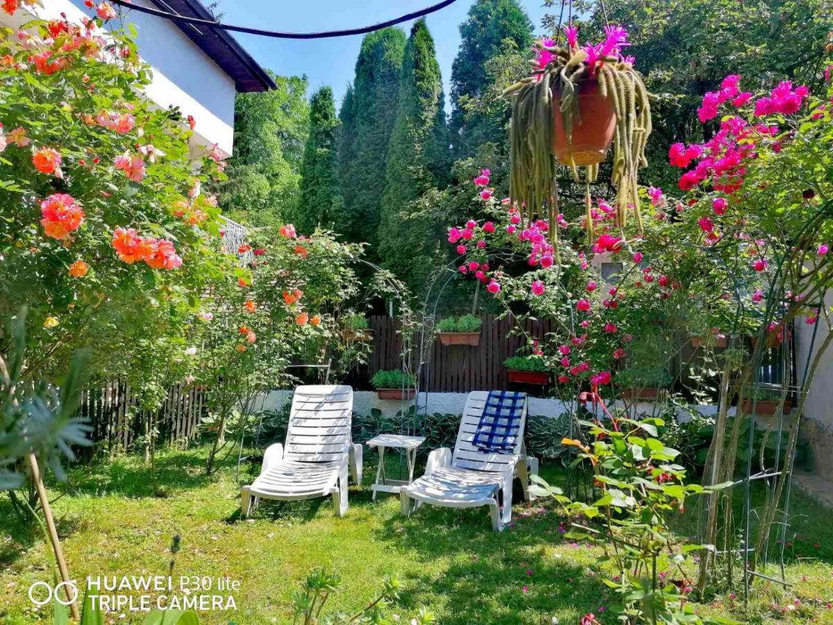 Modern&Cozy Bosnian House With Garden+Free Parking Hotel Сараево Екстериор снимка