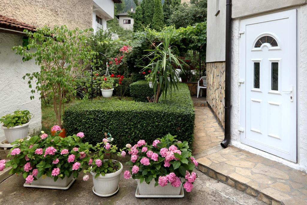 Modern&Cozy Bosnian House With Garden+Free Parking Hotel Сараево Екстериор снимка