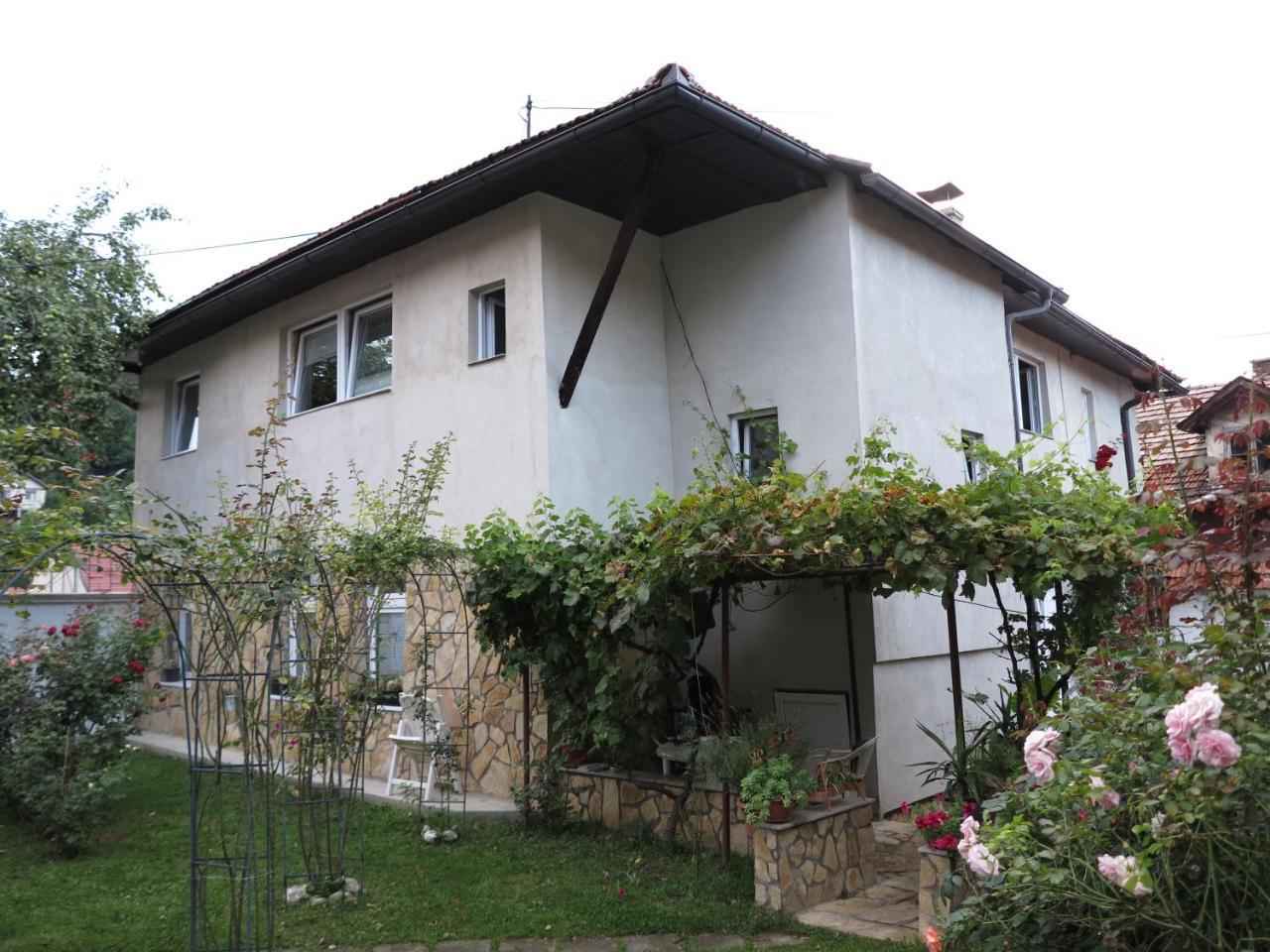 Modern&Cozy Bosnian House With Garden+Free Parking Hotel Сараево Екстериор снимка