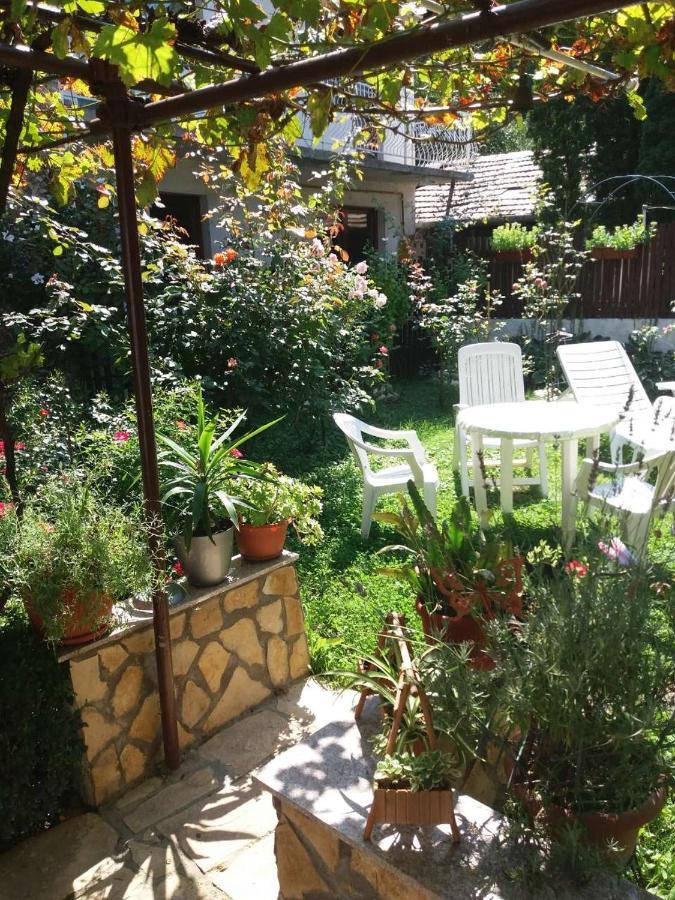 Modern&Cozy Bosnian House With Garden+Free Parking Hotel Сараево Екстериор снимка